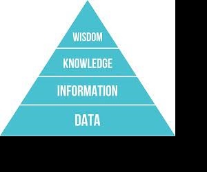 Where are you getting your data, information, facts, and figures from